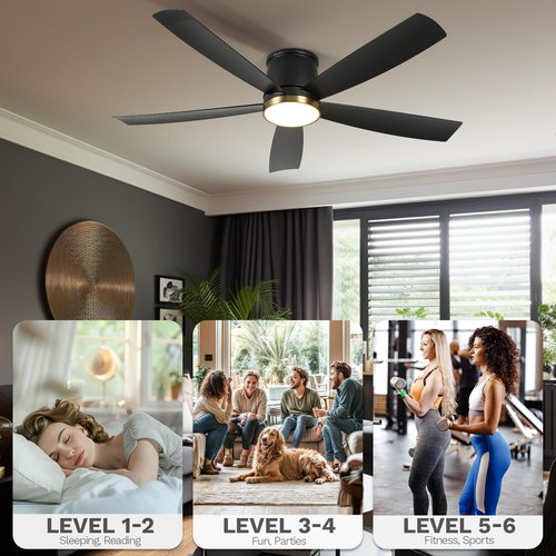 DWVO 52 Inch Ceiling Fans with Lights, Flush Mount Ceiling Fan with Remote Control, 3CCT Dimmable LED, Quiet Reversible DC Motor, 6 Speeds, 5 Blades Ceiling Fan for Bedroom, Living Room, Dining Room