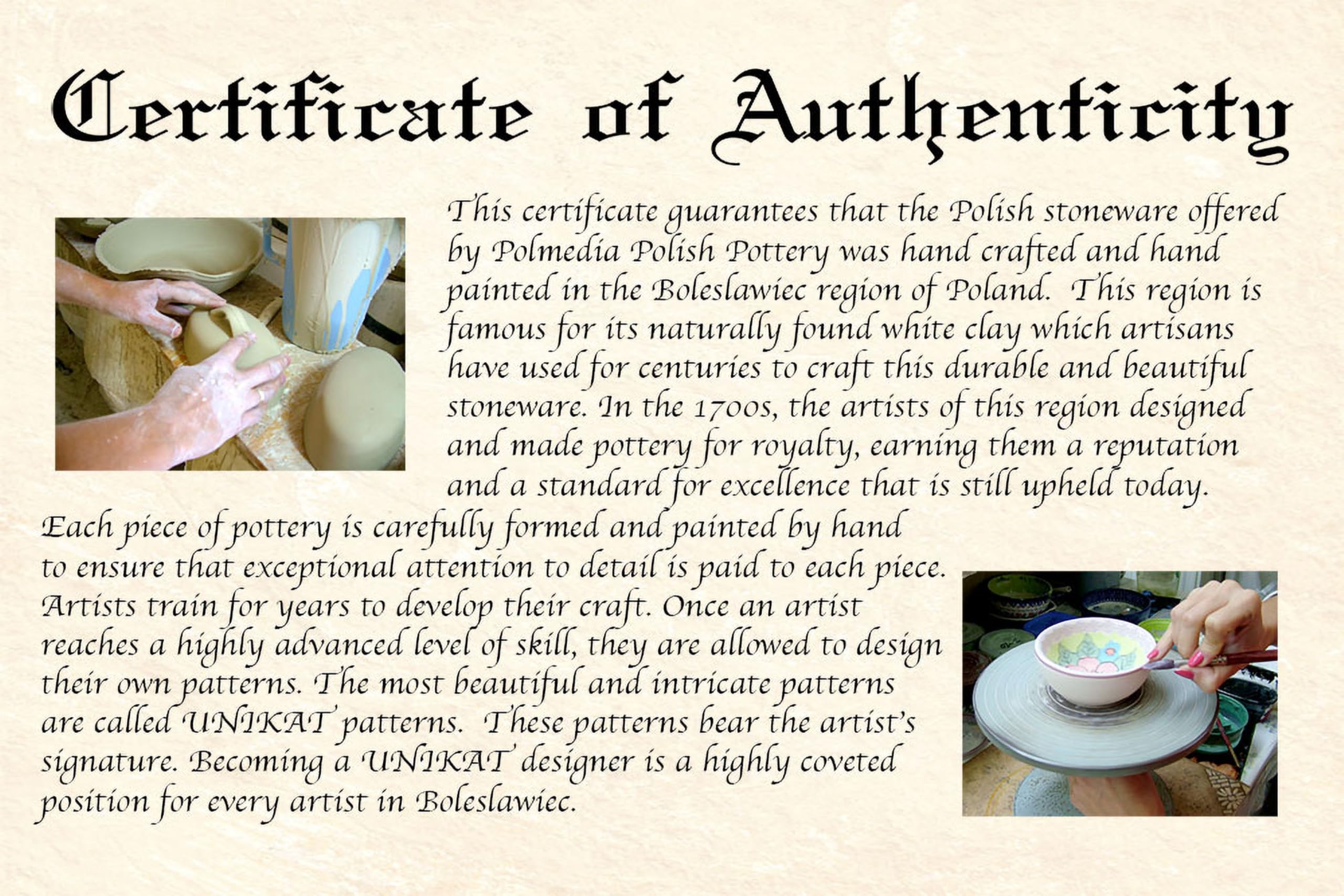 Polmedia Polish Pottery Pasta Bowl 9-inch - Peach Tudor Rose Pattern Handmade in Boleslawiec Poland by Ceramika Bona + Certificate of Authenticity