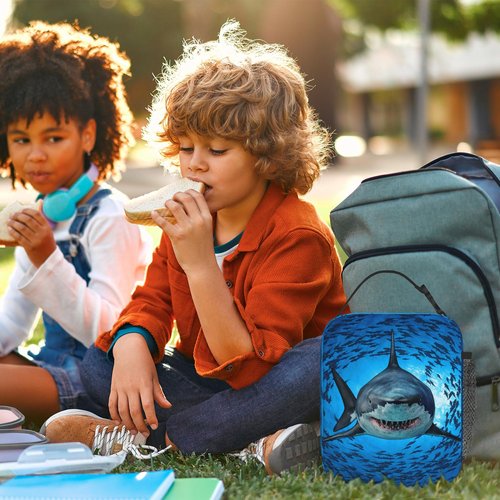 Kids Lunch Bag Lunch Box for Boys Girls Women Men, Reusable Insulated Lunch Tote Bag, Thermal Cooler Sack Food Handbags High Capacity for School Work Travel Picnic (Shark)