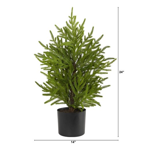 Nearly Natural 2ft. Norfolk Island Pine Natural Look Artificial Tree in Decorative Planter