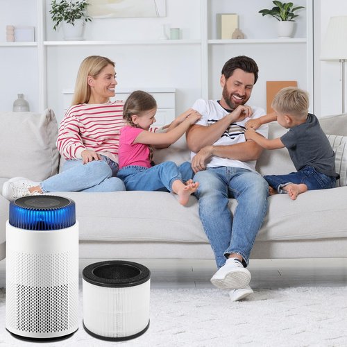 Laukowind for Coway Airmega 100 Air Purifier True Replacement Filter, White (1 Pack)