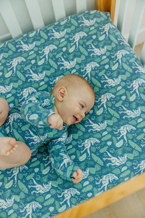 Premium Fitted Knit Crib Sheet/Toddler Sheet Jurassic Park by Copper Pearl, CP-CRSH-0113-NSZ