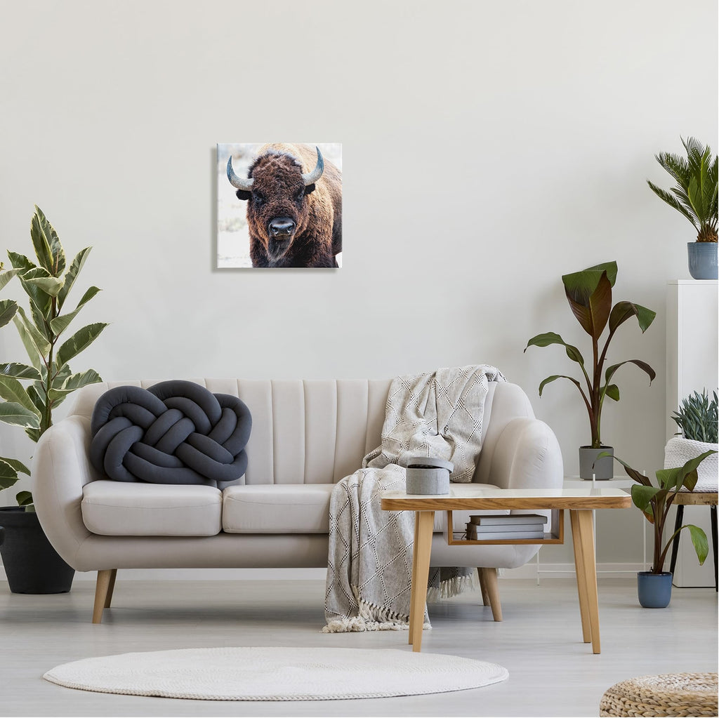 Stupell Industries 'American Bison Photography'| Canvas Art