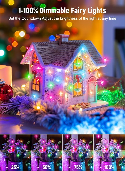 Fairy Lights - 33FT 100LEDs USB Twinkle Lights with Timer & Remote | 8 Modes for Indoor Christmas Decor