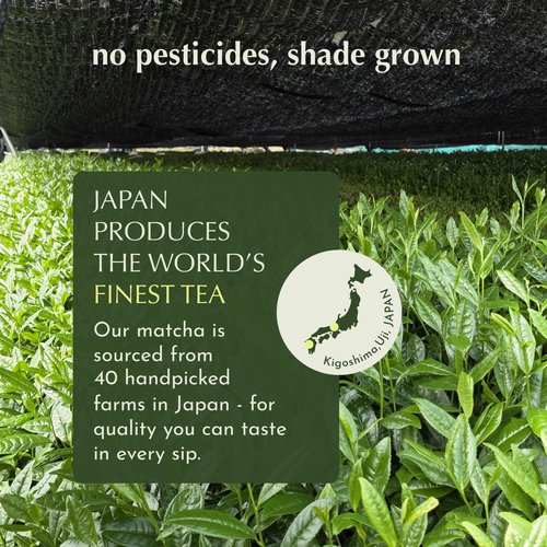 Encha Matcha - Single Serve Cermonial Grade Green Tea Powder - First Harvest Organic, From Uji, Japan single serving size (30 servings) Caffeine, L-Theanine, No added sugar