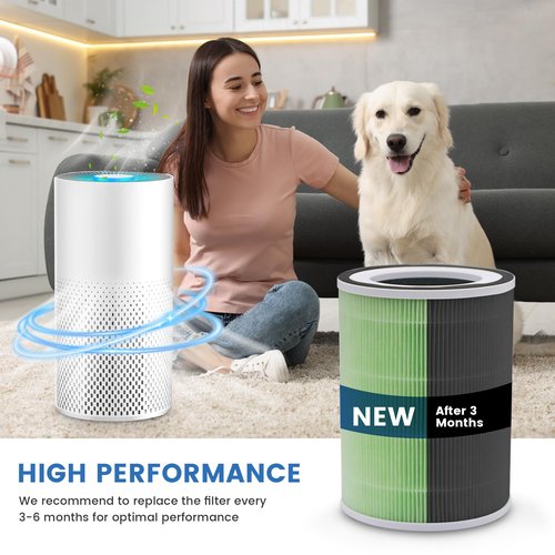 2 Pack True H13 KILO Pet Filter Compatible with Afloia KILO, KILOPLUS, KILOPRO, MIRO,MIRO PRO and MORENTO MR-Kilo, Kalo Air Purifier,360° 4-Stage Filtration, True H13 Air Filter, Green
