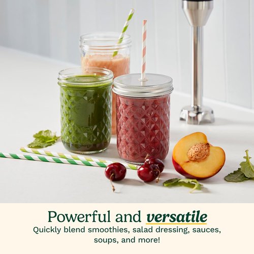 Cuisinart CSB-179 Hand Blender - Variable Speed, Stainless Steel Design for Effortless Blending
