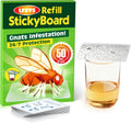 Regine Switzerland Double-Sided Sticky Trap Covers - 25 Pack Adhesive Cards for Fruit Flies | Clear, Mess-Free Indoor Use