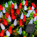 Brightown Solar C6 Strawberry String Lights - 50 LEDs Red & White | 22.64ft Outdoor Christmas Decor