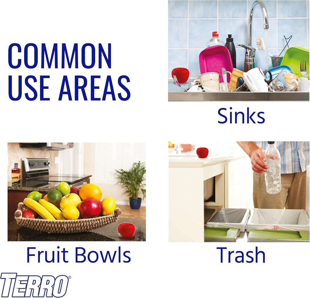 Terro Fruit Fly Trap - Effective Indoor Pest Control | 3 Traps Included