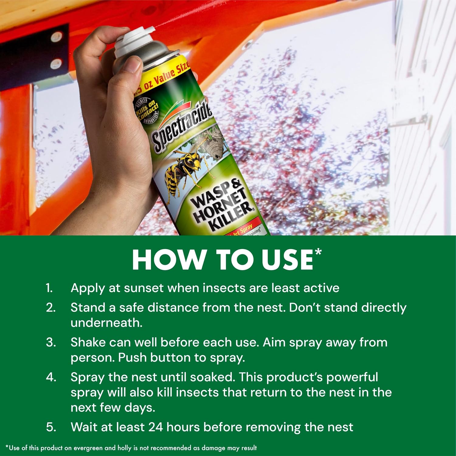 Spectracide Wasp & Hornet Killer Aerosol - Instant Kill for Wasps, Hornets & Yellow Jackets | 12 Pack