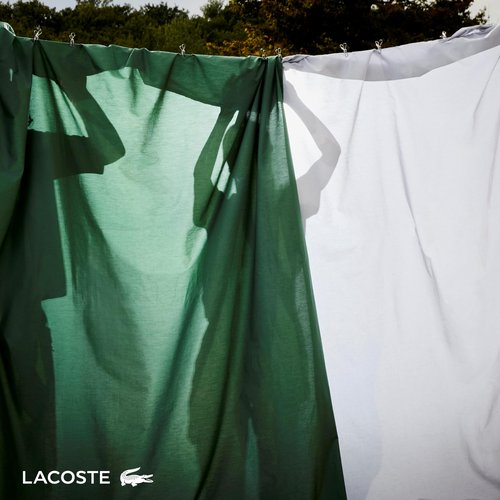 Lacoste 100% Cotton Percale 4-Piece Sheet Set – Cool, Crisp, Matte, and Durable, Oeko-Tex Certified – Solid, White, Queen