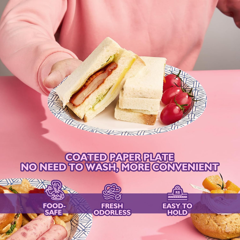 Regine Switzerland Disposable Paper Plates - Heavy Duty, Soak Proof, 8.5 Inch, 300 Count for Parties & Picnics