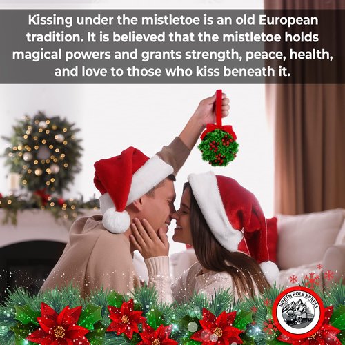 5" Glitter Mistletoe Kissing Ball Christmas Ornament - Hanging Mistletoe Decoration for Doorway - Kiss Mistletoe Ornament - Christmas Mistletoe Ball with Red Berries Friendship Holiday Decoration