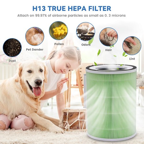 2 Pack True H13 KILO Pet Filter Compatible with Afloia KILO, KILOPLUS, KILOPRO, MIRO,MIRO PRO and MORENTO MR-Kilo, Kalo Air Purifier,360° 4-Stage Filtration, True H13 Air Filter, Green