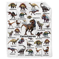 Dinosaur Blanket Gifts for Boys, Jurassic Dino Throw Blanket Gifts for Baby Girls Decor Animal Wild Plush Soft Lightweight Flannel Fleece Dinosaurs Blankets Sheet for Nursery Stroller Toddler 40x30In