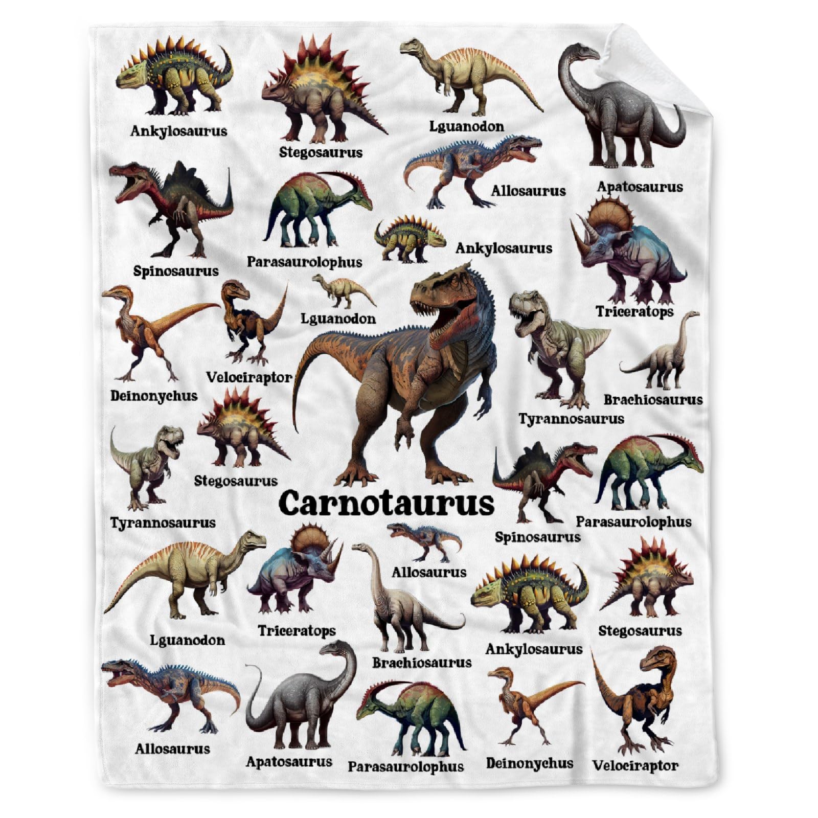 Dinosaur Blanket Gifts for Boys, Jurassic Dino Throw Blanket Gifts for Baby Girls Decor Animal Wild Plush Soft Lightweight Flannel Fleece Dinosaurs Blankets Sheet for Nursery Stroller Toddler 40x30In