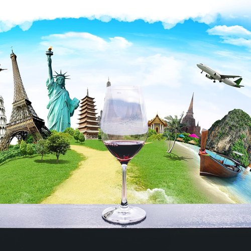 16pcs Wine Glass Charms,Wine Charms for Stem Glasses,Wine Glass Markers Tags,Wine Tasting Party Gifts Favors Decorations Supplies