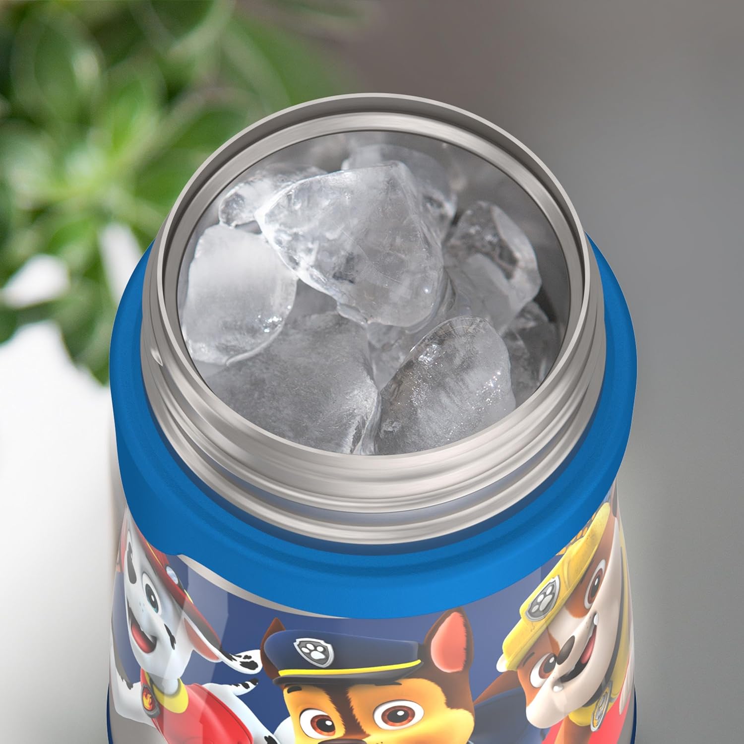 THERMOS Vacuum Insulated Stainless Steel Straw Bottle - 10oz, PAW PATROL Design for Kids