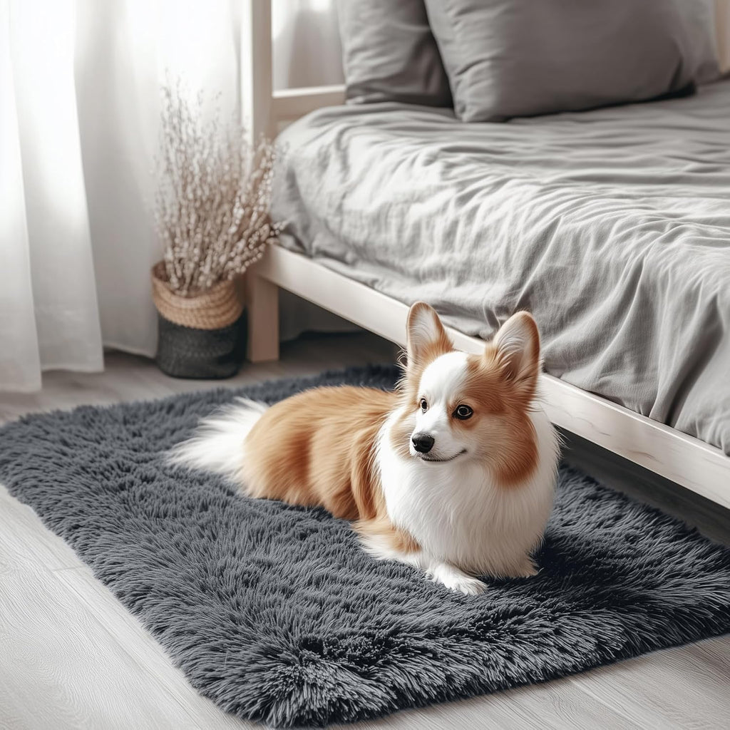 OLANLY Soft Fluffy Shaggy Bedside Rug - Machine Washable 2x3 ft | Ideal for Bedroom & Nursery, Grey