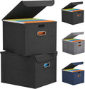 Lifewit File Organizer Box - Portable A4 Hanging File Storage - Dark Gray, 2-Pack for Home & Office