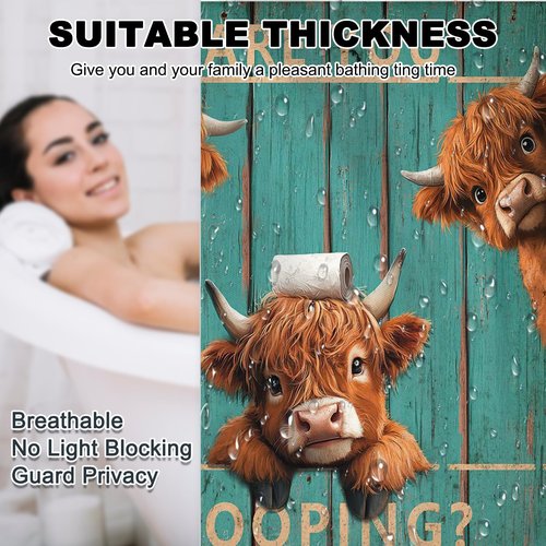 Mocsicka Vintage Funny Highland Cow Shower Curtain with 12 Hooks, Retro Farmhouse Green Plank Door Bath Curtain for Farmhouse Highland Cow Bathroom Decor Waterproof Fabric, 72 X 72 Inch