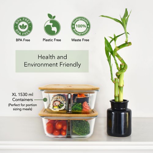 EcoPreps Large Glass Bento Box Containers with Bamboo Lids, 3 Compartment Glass Meal Prep Container Set (2 Pack, XL) - 100% Plastic Free, Eco-Friendly Lunch Containers, Bento Boxes for Adults