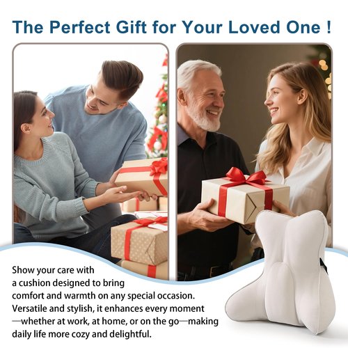Ailuteie Lumbar Support Pillow(Pat. Pend) – Multi-Functional Ergonomic Back Cushion for Sofa Chair, Car Seat & Sofa, Reading Pillow with Firm Multi-Zone Support to Relieve Lower Back Pain, Misty White