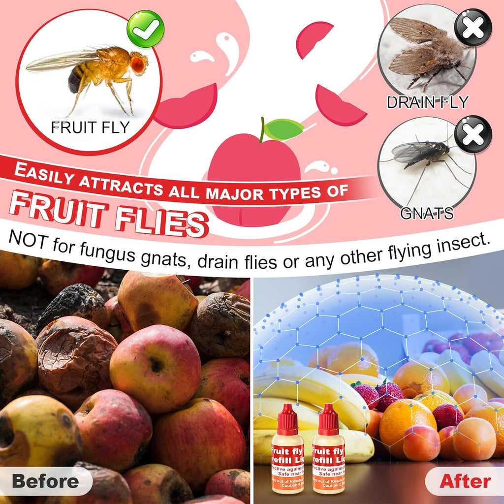 Qualirey Fruit Fly Trap Refill Liquid - Non-Toxic & Effective Indoor Solution | 0.68oz Bottle, Red