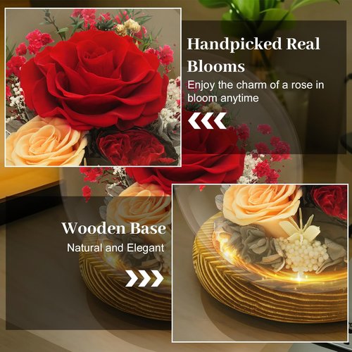 DAKEYUN Preserved Flowers Birthday Gifts for Women Preserved Rose in Glass Dome Forever Fresh Flowers for Delivery Prime Red Eternal Rose Gifts for Her Valentines Day Anniversary for Wife Girlfriend