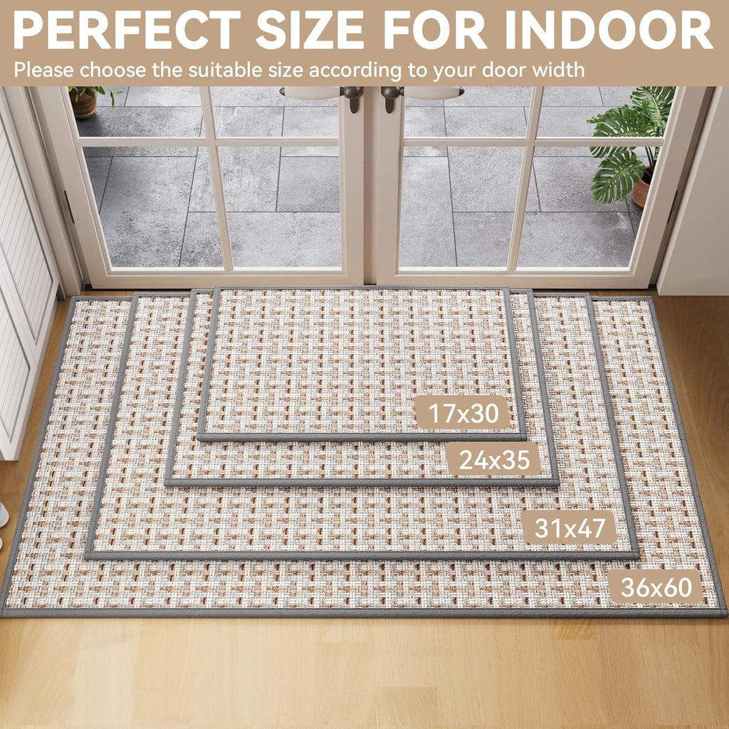 Skiennix Door Mat - Indoor Entrance Mat with Dirt Resistance & Non-Slip Rubber Backing | 17"x30", Gray