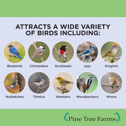 Pine Tree Farms Le Petit Bird Seed Wreath for Wild Birds, Makes a Great Gift for Bird Lovers! 1.25 lb.