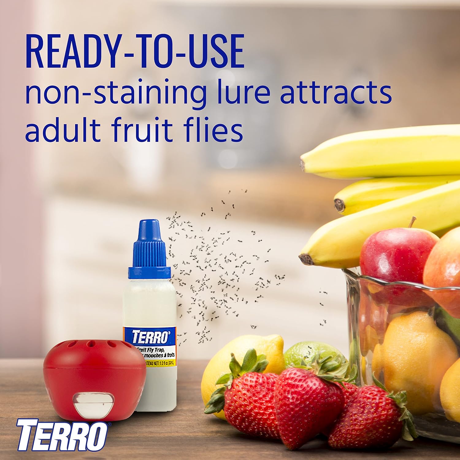 Terro Fruit Fly Trap - Effective Indoor Pest Control | 3 Traps Included