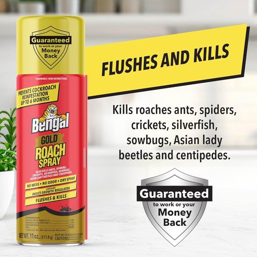 Bengal Gold Roach Spray - Odorless & Stain-Free Bug Control - Prevents Reinfestation for 6 Months - 11 oz