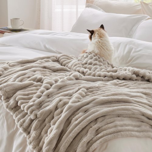 Bedsure Fleece Blanket Throw Size (Dark Grey & Beige)