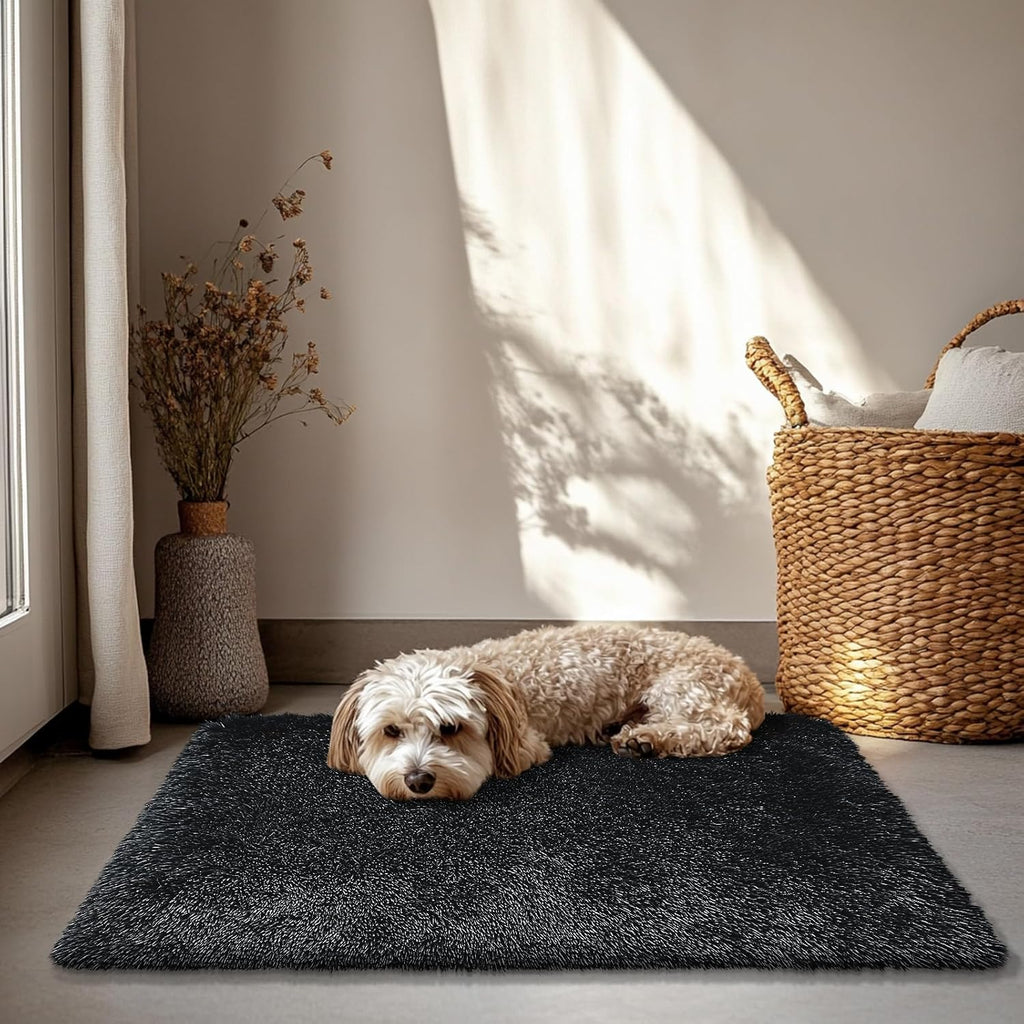 Skiennix 2x3 Fluffy Area Rug - Soft Shag Non-Shedding Indoor Carpet for Kids & Nursery | Black