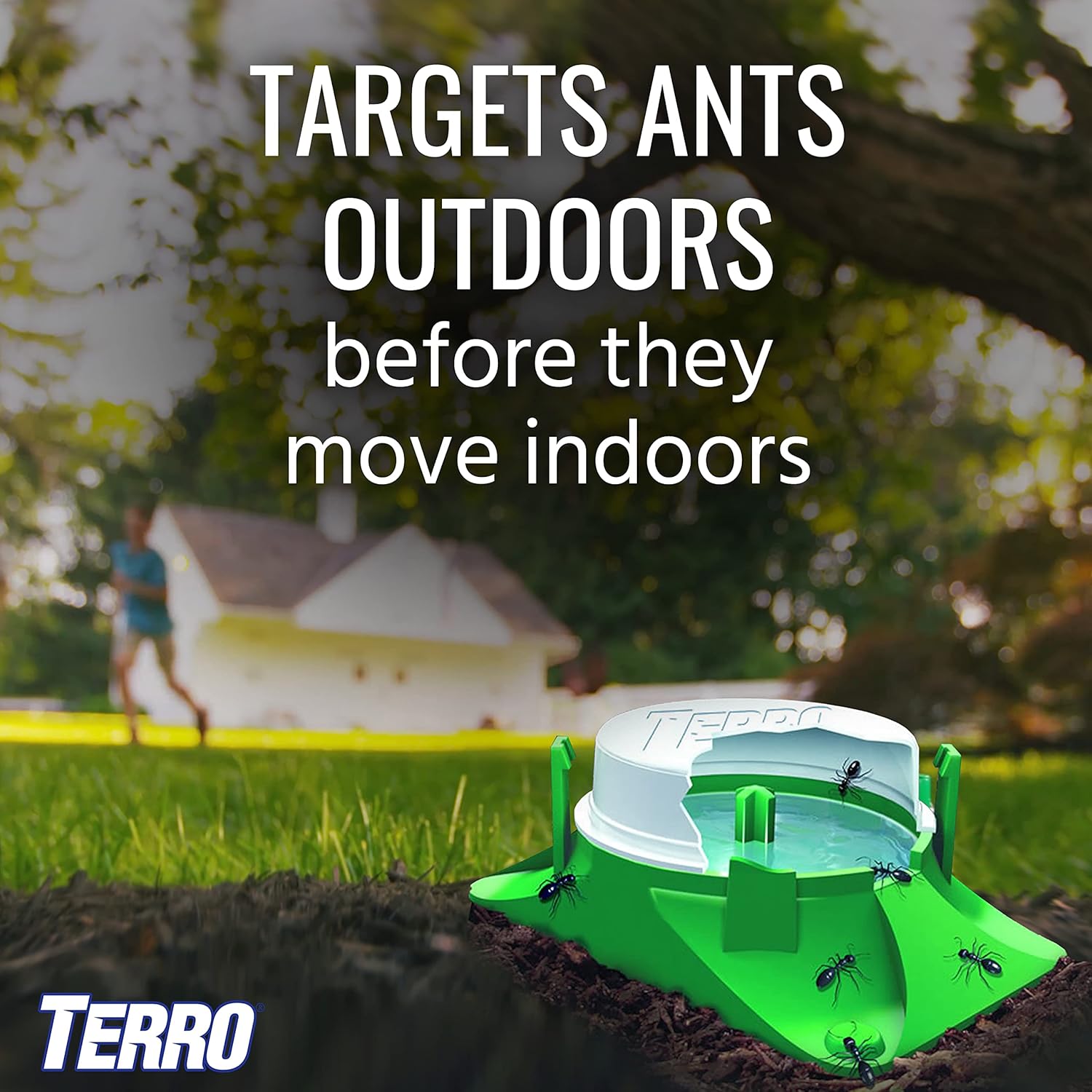 TERRO T1806SR Outdoor Liquid Ant Baits - 2-Pack with 12 Effective Traps for Ant Control