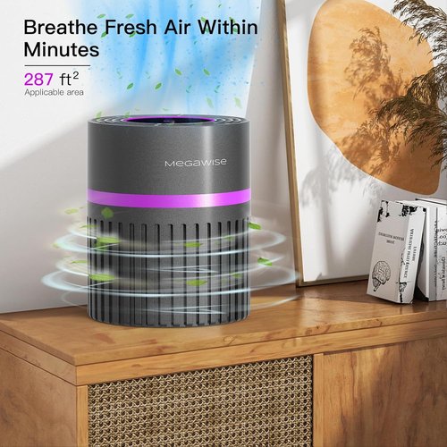 MEGAWISE H13 HEPA Air Purifier - 3-Stage Filtration for Smoke, Dust & Pet Dander | Quiet & Ozone-Free
