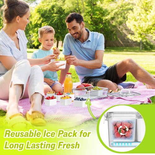 Palksky Snackle Box Container with Ice Pack, Travel Snack Containers with Lid & Handle, Chilled Portable Divided Serving Tray, 8 Compartments Bento Snack Box for Fruits Veggies Snacks, Keep Food Cold