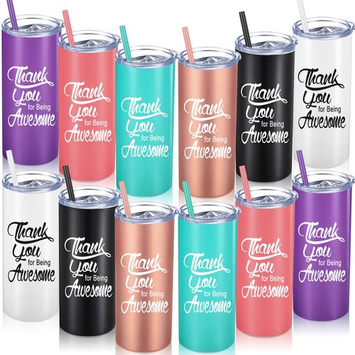 Bokon 12 Sets Thank You Gifts for Being Awesome Tumblers 16 oz Stainless Steel Travel Tumbler with Lid and Straw Employee Appreciation Gifts for Office Employee Coworkers Friends (Classic Colors)
