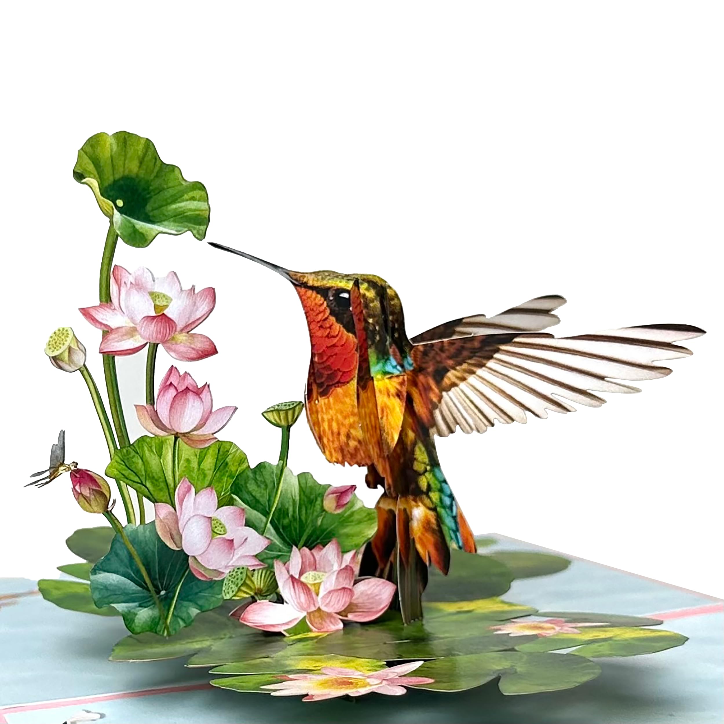 Pop Up Birthday Cards for Women, Hummingbird 3D Birthday Card, Beautiful Hummingbird and Lotus with Koi Fish Design, Pop Up Cards All Occasion for Mother, Mom, Her, Granmother and Daughter, Mothers Day Card