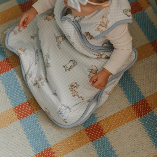 Copper Pearl Premium 3-Layer Knit Sleep Bag 2.5 TOG Winnie The Pooh & Friends