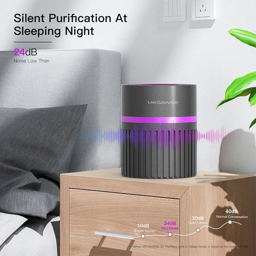 MEGAWISE H13 HEPA Air Purifier - 3-Stage Filtration for Smoke, Dust & Pet Dander | Quiet & Ozone-Free