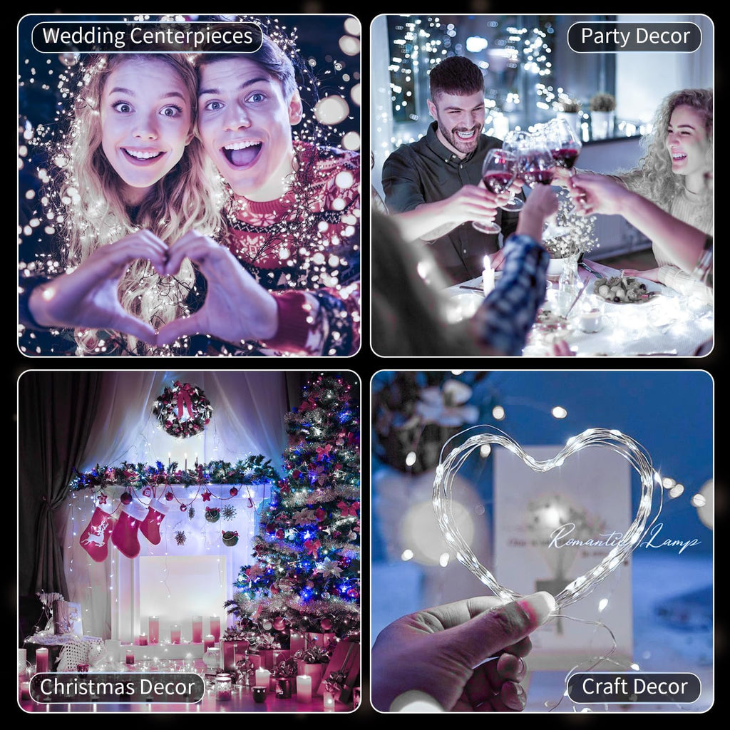 Skiennix 20 Pack LED Fairy Lights - 7FT Waterproof Mini Twinkle String Lights for Christmas & Parties | Cool White