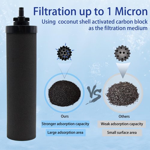 Renami Black Carbon Filter & Fluoride Filters, Combo Pack