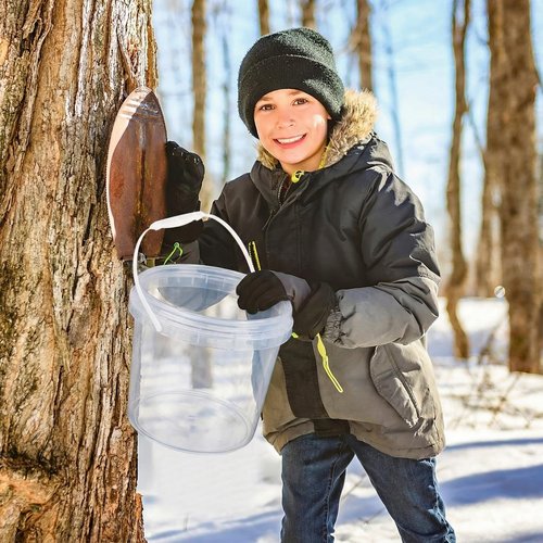 LOYIM 3 Sets Maple Syrup Tapping Kit Maple Sugar Starter Kit Included 3 Buckets with Lid, 3 Metal Maples Syrup Taps, 3 Maples Syrups Filters, 1 Syrups Tube 1 Cleaning Brush for Spiles (Clear)