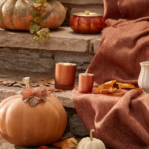 Thymes Scented Candles for Home Decor - Luxury Home Fragrance Gifts for Women & Men - Fall Candles with Creamy Pumpkin, Nutmeg, & Cinnamon - Burnt Orange (Pumpkin Laurel, 6.5 oz)