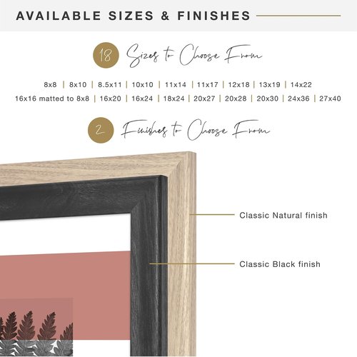 MCS Studio Gallery Classic 8.5x11 Picture Frame Black Woodgrain, Vertical & Horizontal Wall Hanging Large Picture Frame for Photos, Posters & Art Prints (1-Pack)