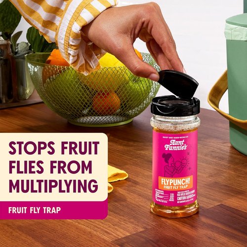 Aunt Fannie's FlyPunch Fruit Fly Trap - Safe Plant-Based Indoor Solution | Lasts Up to 30 Days