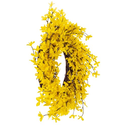 Yellow Forsythia Wreath - 24-Inch Artificial Spring Wreath for Home Decor - Wreaths for Indoors or Covered Patio Use Only by Pure Garden